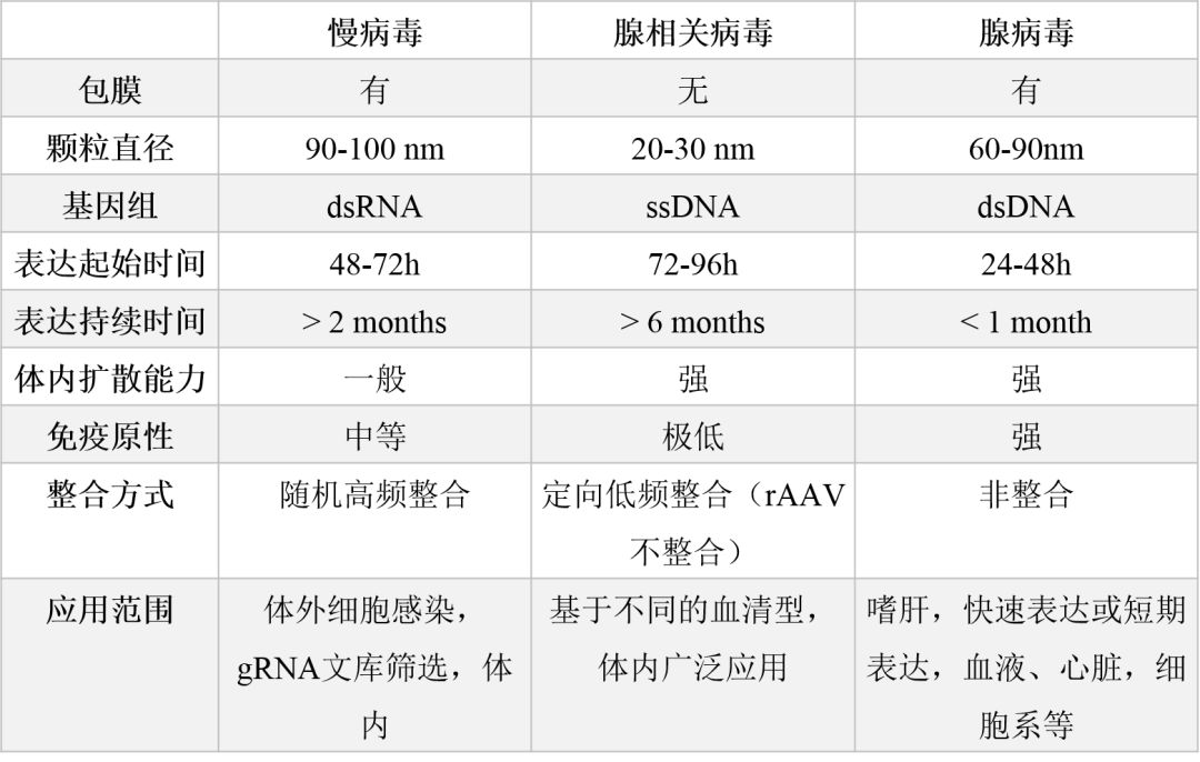 潘多拉魔盒(PANDORA'S Virusbox)——腺相关病毒